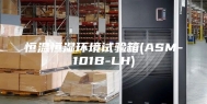 恒温恒湿环境试验箱(ASM-101B-LH)