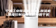 宁波工业除湿机,168L除湿机,湿度控制设备工厂--辰宁机电