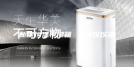 新型恒温恒湿箱 - 环仪仪器