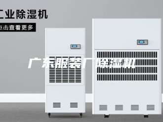 行业新闻广东服装厂除湿机