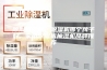 除湿机推荐，除湿机哪个牌子好, 家用除湿机抽湿机品牌推荐