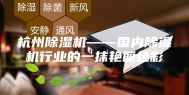 杭州除湿机——国内除湿机行业的一抹艳丽色彩