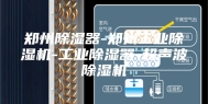 郑州除湿器-郑州工业除湿机-工业除湿器-超声波除湿机