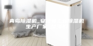 青岛除湿机_安诗曼工业除湿机生产厂家_加湿机