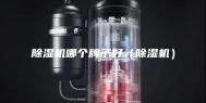 除湿机哪个牌子好（除湿机）