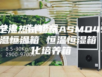 常见问题恒定湿热试验箱ASMO45 低温恒温箱 恒温恒湿箱 生化培养箱