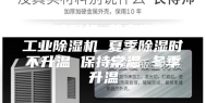 工业除湿机 普立常温型工业除湿机 夏季除湿时不升温 保持常温 冬季升温