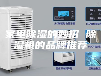 行业新闻家里除湿的妙招 除湿机的品牌推荐