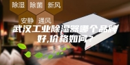 武汉工业除湿器哪个品牌好,价格如何？