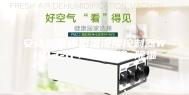 安诗曼普通型温湿度控制器WH03-11／HH升温+除湿