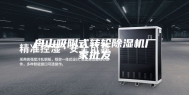 舟山吸附式转轮除湿机厂家批发