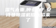湿气太重,肿么办？安诗曼除湿机放大招来了
