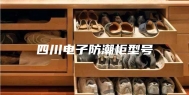 四川电子防潮柜型号