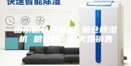 山东粮仓除潮机 粮仓除湿机 粮仓除潮机火爆销售