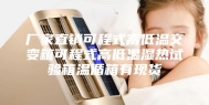 厂家直销可程式高低温交变箱可程式高低温湿热试验箱温循箱有现货