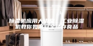 除湿机应用大讲堂：工业除湿机教你如何安全储存食品