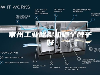 行业新闻常州工业除湿机哪个牌子好