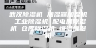 武汉除湿机 加湿器加湿机 工业除湿机 配电房除湿机 仓库除湿机 恒温恒湿机