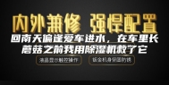回南天偏逢爱车进水，在车里长蘑菇之前我用除湿机救了它