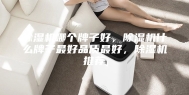 除湿机哪个牌子好，除湿机什么牌子最好品质最好，除湿机推荐