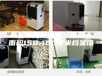 行业新闻档案室用除湿机，适用大面积150-180平米档案馆