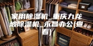 家用除湿机_重庆九龙坡除湿机_永昌办公(查看)