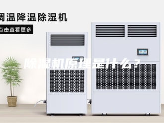 企业新闻除湿机原理是什么？