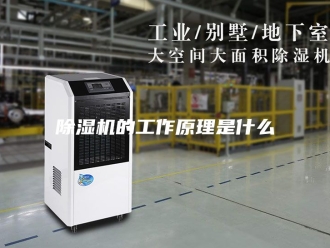 企业新闻除湿机的工作原理是什么