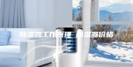 除湿器工作原理 除湿器价格