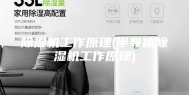 除湿机工作原理(半导体除湿机工作原理)