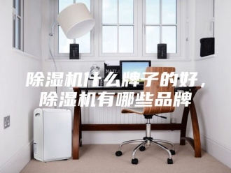 企业新闻除湿机什么牌子的好，除湿机有哪些品牌