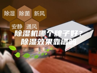 企业新闻除湿机哪个牌子好？除湿效果靠谱吗