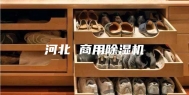 河北 商用除湿机