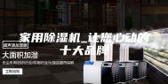 家用除湿机_让您心动的十大品牌