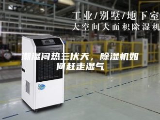 行业新闻潮湿闷热三伏天，除湿机如何赶走湿气
