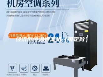 常见问题经济型恒温恒湿机（可定做）
