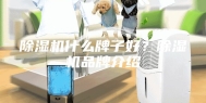 除湿机什么牌子好？除湿机品牌介绍