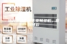 汕头工业用地下室除湿机，货到付款