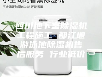 行业新闻四川地下室除湿机工程施工 都江堰游泳池除湿机售后服务 行业低价