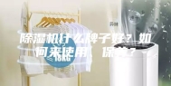 除湿机什么牌子好？如何来使用、保养？