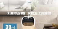 工业除湿机厂家批发工业除湿机