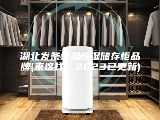 常见问题湖北发条恒温恒湿储存柜品牌(来这找，2023已更新)