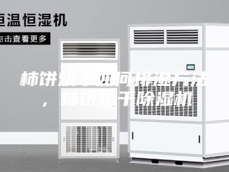 行业新闻柿饼烘干如何排湿方法，柿饼烘干除湿机