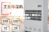 烟台家用除湿机／烟台工业抽湿机
