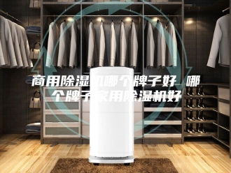 行业新闻商用除湿机哪个牌子好 哪个牌子家用除湿机好