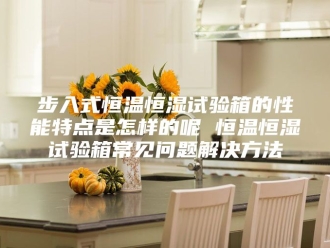 常见问题步入式恒温恒湿试验箱的性能特点是怎样的呢 恒温恒湿试验箱常见问题解决方法
