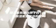 除湿机有哪些牌子好，家用除湿机如何选购呢？