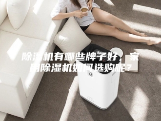 企业新闻除湿机有哪些牌子好，家用除湿机如何选购呢？