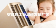 安诗曼工业温恒湿箱厂家