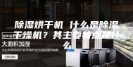 除湿烘干机 什么是除湿干燥机？其主要特点是什么